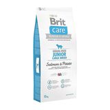 Brit Care Somonlu Patatesli Tahılsız Büyük Irk 12 kg Yavru Köpek Maması