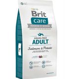 Brit Care Tahılsız Somon ve Patatesli Küçük ve Orta Irk 3 kg Yetişkin Köpek Maması