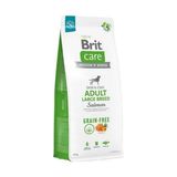 Brit Care Tahılsız Somonlu Büyük Irk Köpek Maması 12 kg Yetişkin Köpekler İçin Özel Formül