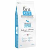 Brit Care Tahılsız Somonlu Büyük Irk Yavru 3 kg Köpek Maması