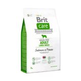 Brit Care Tahılsız Somonlu Yetişkin Tahılsız Köpek Maması 3Kg