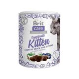 Brit Care Yavru Kedi Ödül Maması 100 gr Hindistan Cevizli Ve Yaban Mersinli Lezzetli Atıştırmalık