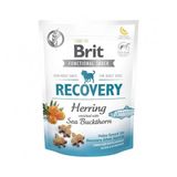 Brit Recovery Ringa Balıklı 150 gr Köpek Ödül Maması