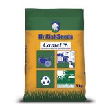 British Seeds Kurak Alanlar için Çim Tohumu - Camel Çim Tohumu - 5 kg - Ücretsiz Kargo