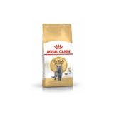 British Shorthair Adult Yetişkin Kedi Maması 10 Kg - 255710000