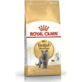British Shorthair Irka Özel Yetişkin Kedi Maması 10 Kg