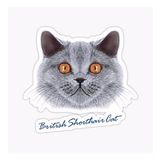 British Shorthair Kedi Araba Oto Sticker Yapıştırma Etiket 17cm Z1