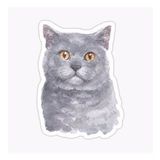 British Shorthair Kedi Araba Oto Sticker Yapıştırma Etiket 17cm Z3
