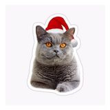 British Shorthair Kedi Araba Oto Sticker Yapıştırma Etiket 17cm Z5