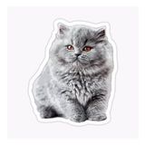 British Shorthair Kedi Araba Oto Sticker Yapıştırma Etiket 17cm Z8