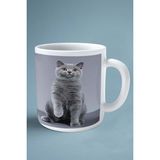 British Shorthairt Kedi Isimli Kişiye Özel Baskılı Kupa Bardak Model 4