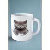 British Shorthairt Kedi Isimli Kişiye Özel Baskılı Kupa Bardak Yırtık
