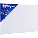 Brons BR-335 25x35 CM Tuval