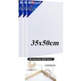Brons Tuval 35X50 3 Adet Gerdirme Apartlı Arkadan Zımbalı 35*50 Tual Akrilik Boya Yağlı Boya