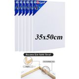 Brons Tuval 35X50 6 Adet Gerdirme Apartlı Arkadan Zımbalı 35*50 Tual Akrilik Boya Yağlı Boya