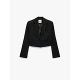 Broş Detaylı Geniş Yaka Uzun Kollu Crop Blazer Ceket