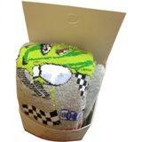 Bross Erkek Bebek Araba Baskılı Kalın Havlu Çorap - 1 - 3 Yaş - Çok Renkli