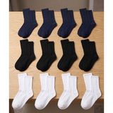 Bross Erkek Spor 12LI Soket Çorap Sürpriz Renk ONL-02762 - Asorti
