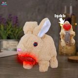 Brother Toys Elektronik Pilli Zıplayan Hareketli Peluş Sevimli Kalpli Tavşan Oyuncak 18 Cm. Bej - Bej - Pembe