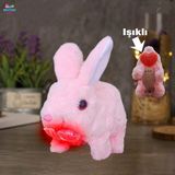 Brother Toys Elektronik Pilli Zıplayan Hareketli Peluş Sevimli Kalpli Tavşan Oyuncak 18 Cm. Pembe - Pembe - Kırmızı