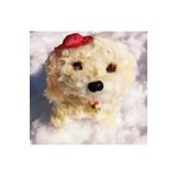 Brother Toys Pilleri Hediye Yürüyen Havlayan Sevimli Peluş Pilli Oyuncak Köpek 13 Cm. Krem Pembe Mavi Kahve Mor