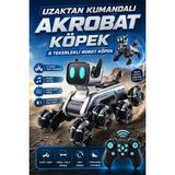 Brother Toys Uzaktan Kumandalı 8 Tekerli Akrobat Oyuncak Robot Köpek Araba 25 Cm. Wall-E Benzeri - Gri