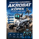 Brother Toys Uzaktan Kumandalı 8 Tekerli Akrobat Wall-E Benzeri Oyuncak Robot Köpek Araba 25 Cm.