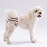 Brown Striped Kedi-köpek Çamaşırı Regl Kilodu Kedi-Köpek Kıyafeti 0 NO
