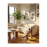 BRT Pet Kedi Tırmalama Tahtası 42cm, Sarı