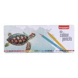 Bruynzeel 5789100 N:60312905 45 Renk Turtle Kuru Boya Kalemi