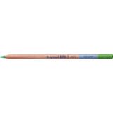 Bruynzeel Design Aquarel 60 Light Green Kuru ve Sulu Boya Kalemi