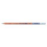 Bruynzeel Design Aquarel 73 Light Grey Kuru ve Sulu Boya Kalemi