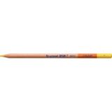 Bruynzeel Design Colour 19 Naples Yellow Kuru Boya Kalemi