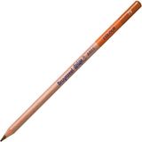 Bruynzeel Design Colour Sanatsal Kuru Boya Kalemi (12 Li Paket) Burnt Ochre Pencils - Yok
