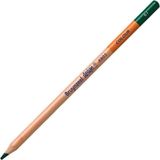Bruynzeel Design Colour Sanatsal Kuru Boya Kalemi (12 Li Paket) Dark Green Pencils - Yok