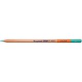 Bruynzeel Design Colour Sanatsal Kuru Boya Kalemi (12 Li Paket) Ice Green Pencils - Yok