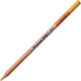 Bruynzeel Design Colour Sanatsal Kuru Boya Kalemi (12 Li Paket) Pencil Dark Yellow Design Pencils - Yok