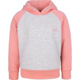 BRZ Collection Kız Çocuk Kapüşonlu Sweatshirt Hoodie - Gri Melanj - 5 Yaş