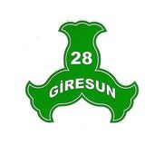 BS. Elektronik 28 Giresun Fındık Sticker - Sticker Kaliteli Ürün Dışa Dayanıklı - 11,5x10,5 - Yeşil