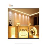 Bs Light 2 Mt Günışığı 220 Volt 3 Çipli Şerit Led Işık Hortum Led Aydınlatma Dış Mekan Su Geçirmez Led Hortum