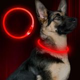 BSEEN Led Köpek Tasması, USB Şarj Edilebilir Flaş Köpek Kolye Işık, Evcil Hayvan Güvenlik Tasması Küçük Orta Büyük Köpekler için Sevdiğiniz Köpeklerinizin Gece Görünmesini Sağlar