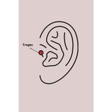 Bsre Gümüş Renk Zirkon Taşlı Toplu İğne Tragus Piercing (316L Çelik)