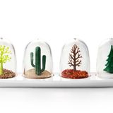 BSSM Seasoning Shakers Dört Mevsim Baharatlık