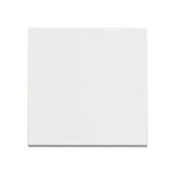 Bticino RW4001M2 Classia Anahtar 10AX 250V Vida Bağlantı 2 Modül Beyaz