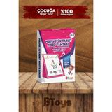 Btoys Manyetik Tablet Kız