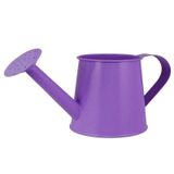Bu sulama kabı, bahçe sulama kabı, mini demir sulama kabı, ev bonzai bitkisi, duş aleti, bahçe su ısıtıcısı saksısı, sulama spreyi, bahçe çiçek bakım şişesi, dış mekan için sulama kabı