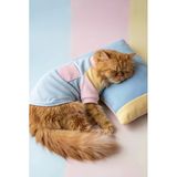 Bubbles Pastel Kedi Uyku Takımı | Mini Yastıklı Şeker Renkli Yazlık Kedi Pijama Seti