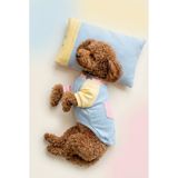 Bubbles Pastel Köpek Uyku Takımı | Mini Yastıklı Şeker Renkli Yazlık Köpek Pijama Seti | Küçük Irklar İçin