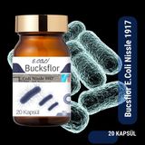 Bucksflor E.coli Nissle 1917 Probiyotik 20 Kapsül Bağırsak Mikroflora Desteği Softjel İçerik