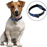 Bucuks® Yumuşak Dokulu Deri Köpek Gezdirme Boyun Tasması (Large)